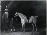 Garrard, George , A Grey Gelding Held by a Stable Boy