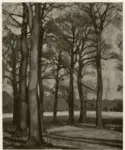 Gore, Spencer F. , Richmond Park, Winter