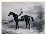 Anonimo , Hall, Harry - sec. XIX - Pretender, winner of the Derby, 1868, with J. Osborne up