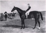 Herring, John Frederick , Don John -