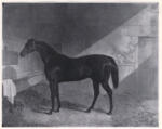 Herring, John Frederick , Charles XII