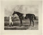 Herring, John Frederick , Portraits of Winnig Horses of the Great St. Leger Stakes at Doncaster -