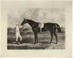 Herring, John Frederick , Portraits of Winnig Horses of the Great St. Leger Stakes at Doncaster