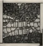 Image, Selwyn , Alberi e rose