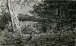 Anonimo , Image, Selwyn - sec. XIX - Paesaggio con alberi
