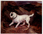 Landseer, Edwin Henry , - Il cane