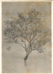 Leighton, Frederic , Study of a lemon tree -