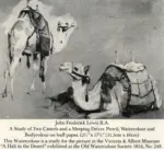 Lewis, John Frederick , A Study of Two Camels and a Sleeping Driver