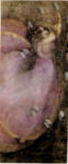Lycett, Joseph , Ophelia -