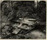 Millais, John Everett , Kingfisher's Haunt