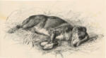 Moore, Henry , A study -