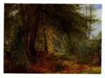 Redgrave, Richard , The woodland mirror - , The woodland mirror - , The woodland mirror -