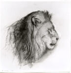 Ruskin, John , Profilo di leone