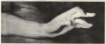Sargent, John Singer , - Particolare di una mano