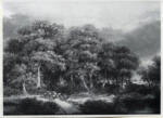 Stark, James , A Wooded Landscape near Norwich