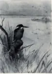 Thorburn, Archibald , Kingfisher