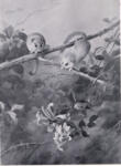 Thorburn, Archibald , Field Mice