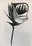 Chadwick, Lynn , Balanced sculpture -