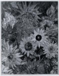 Epstein, Jacob , Dahlias and Sun Flowers -