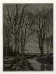 Gorter, A.M. , The edge of the forest -