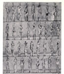 Moore, Henry , Studies for Sculpture