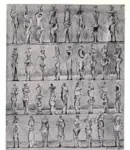 Anonimo ; Anonimo , s.v.