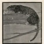 Moore-Park, Carton , Leopard -