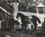 Munnings, Sir Alfred , Unsaddling Enclosure at Epsom