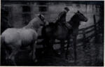 Munnings, Sir Alfred , Crossing the ford -