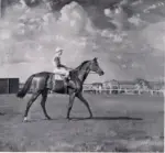 Munnings, Sir Alfred , Mackwiller