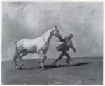 Munnings, Sir Alfred , The Grey