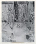 Nash, Paul , The Quiet Garden