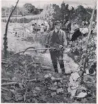 Pinwell, George John , In the Hopfield