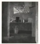 Potter, Mary , The Flower Room