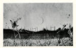 Reynolds, Alan , Autumn -