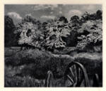 Spencer, Stanley , Marsh Meadow