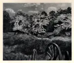 Spencer, Stanley , Marsh Meadow