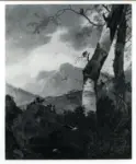 Anonimo , Pynacker, Adam - sec. XIX - A Mountain Landscape with a Silver Birch