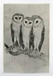 Van Hoytema, Theo , Owls