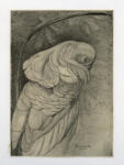 Van Hoytema, Theo , A Parrot -