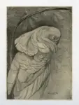 Van Hoytema, Theo , A Parrot