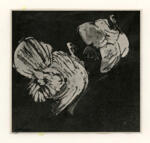 Van Hoytema, Theo , Turkeys -