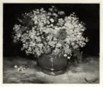 Van Gogh, Vincent , Vaso con fiori di campo