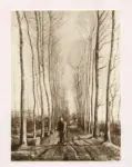 Van Gogh, Vincent , All&eacute;e de peupliers &agrave; Nueuen