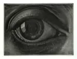 Escher, M.C. , Oog -