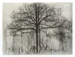 Mondrian, Piet , Studio di alberi