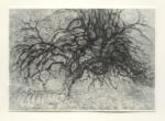 Mondrian, Piet , Albero bleu