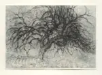 Mondrian, Piet , Albero bleu