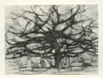 Mondrian, Piet , Albero grigio