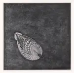 Stolk, Reijer , Eendje (kleurhoutsnede) -